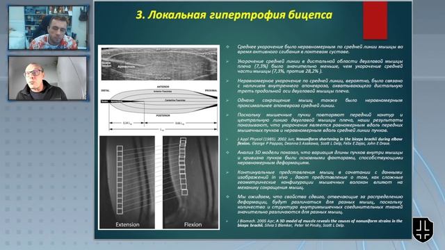 Гипертрофия разных участков бицепса. Можно ли тренировать часть мышцы отдельно? смотреть онлайн