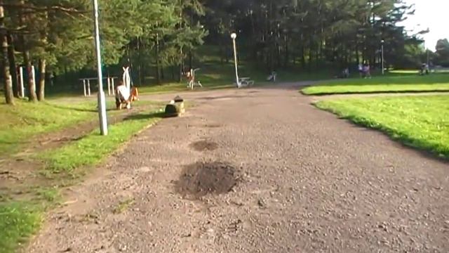 проспект В. Кревес, Каунас, Литва смотреть онлайн