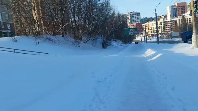 2000 рублей за 3 часа! Курьер Яндекс Доставки в Ижевске #яндексдоставка #яндекседа #Ижевск смотреть онлайн