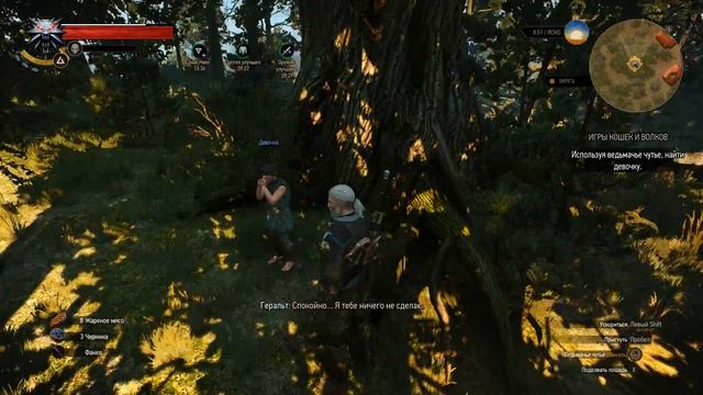 Прохождение The Witcher 3: Wild Hunt Игры кошек и волков и Шоковая терапия # 71 смотреть онлайн