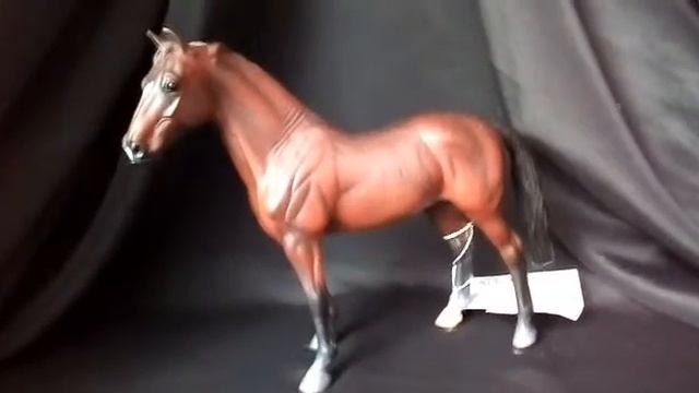 Обзор на ганноверского жеребца смотреть онлайн