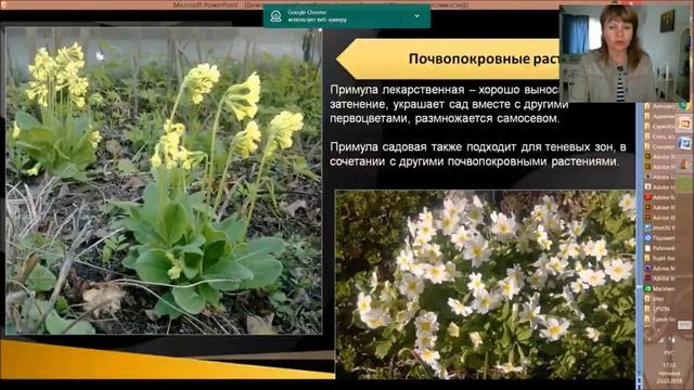 Теневая сторона сада. Часть 2 смотреть онлайн