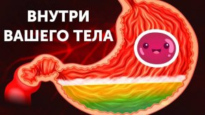 Путешествие по вашему телу