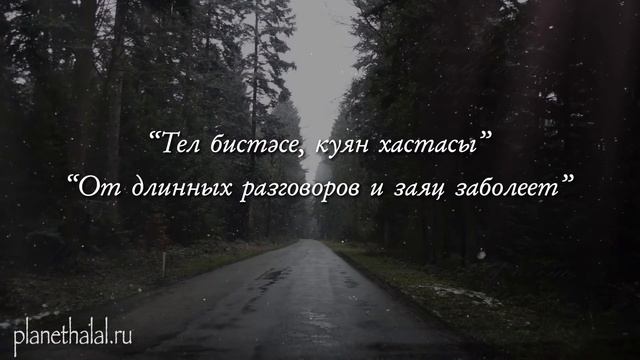 Татарские народные цитаты про Замужество / Татарские Цитаты с Переводом на Русский смотреть онлайн