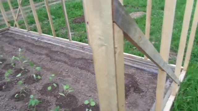 Первые два дня похожие на лето. Огород смотреть онлайн