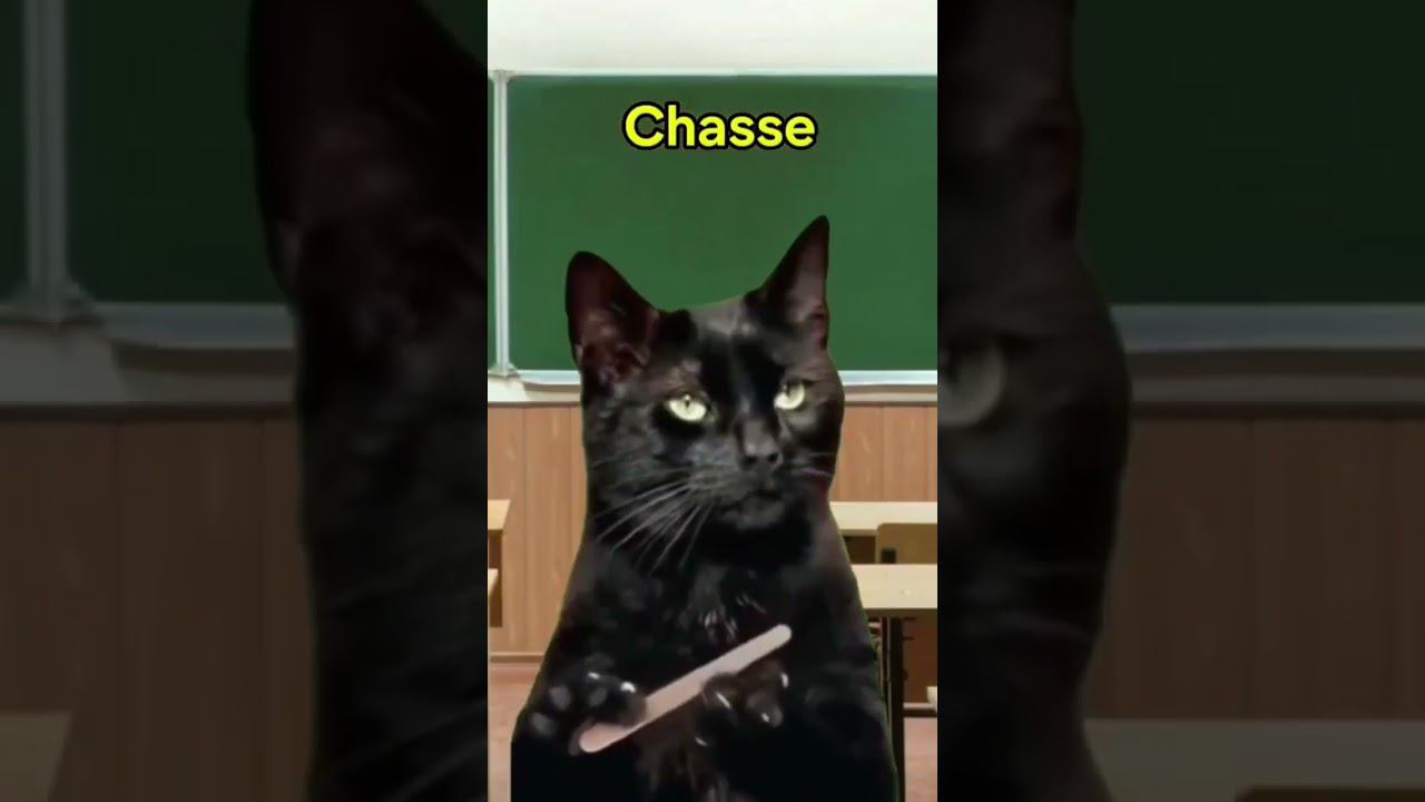 ФРАНЦУЗСКИЙ ИМБА #youtube #рек #рекомендации #популярное