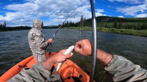 ПЛЁС ЗАБИТ ХАРИУСОМ |  ЛУЧШИЙ ВОДОМЁТНЫЙ ПОХОД часть -3