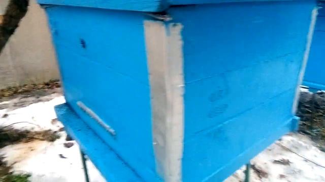 Бесплатные ульи или где взять бесплатную древесину для изготовления улья смотреть онлайн