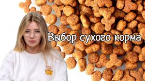Выбор сухого корма для собак