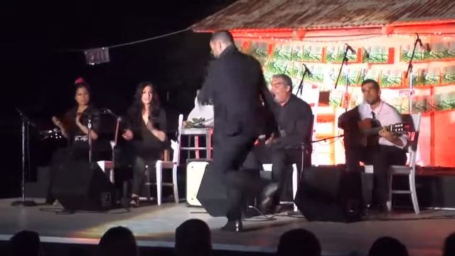 Manuel Gutierrez at Tucson Flamenco Festival 2014 . Flamenco dancer. смотреть онлайн