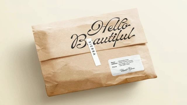 ED Lavonia Classy Script Font Free Download смотреть онлайн