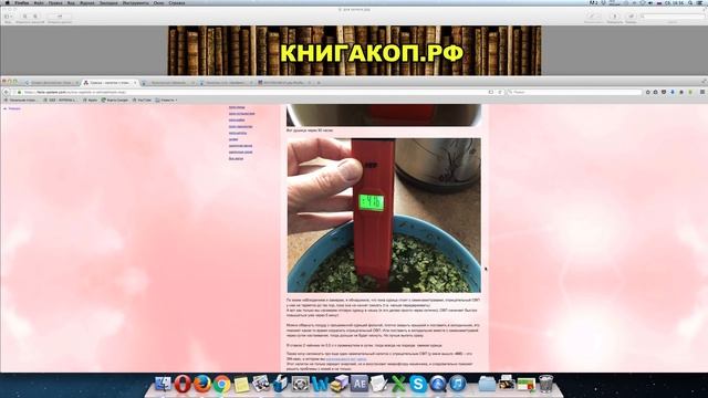 Библиотека РУКОПИСНЫХ Собраний - СТАРИННЫЕ Знания смотреть онлайн