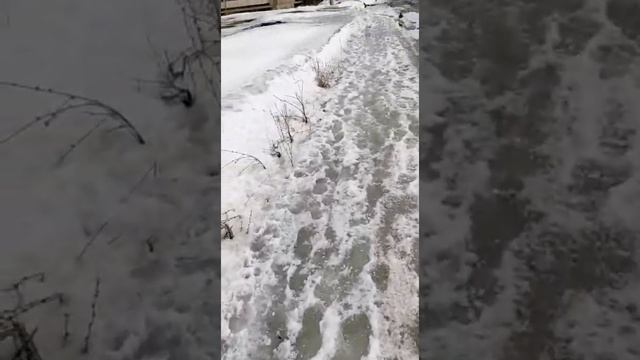Фонд капитального ремонта МКД Алтайский край смотреть онлайн