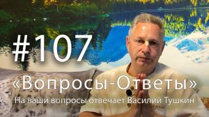 «Вопросы-Ответы», Выпуск #107 - Василий Тушкин отвечает на ваши вопросы