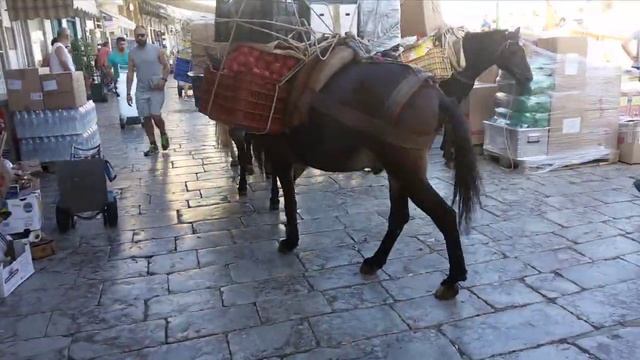 Греция. Остров Идра. смотреть онлайн