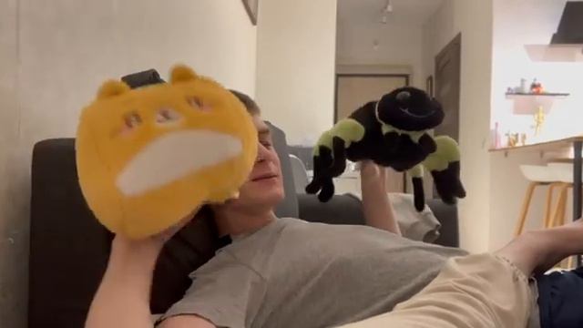 паук пук и кот жмот смотреть онлайн