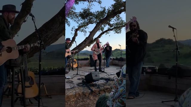 Ashley Campbell смотреть онлайн