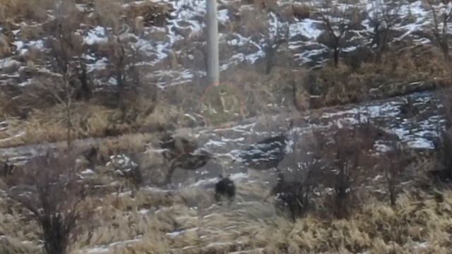 Орк лейтенант Баралгин смотреть онлайн