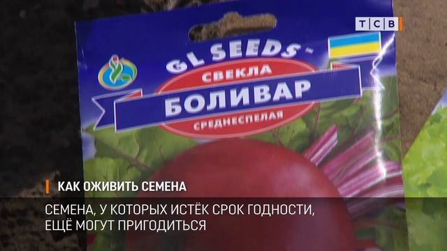 Как оживить семена смотреть онлайн
