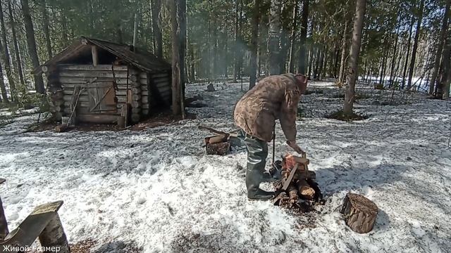 ПРОВЕДАЛИ ИЗБУШКУ В ТАЙГЕ, РЫБАЛКА ВЕСНОЙ смотреть онлайн