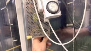 ? Обзор освещения для выгонки тюльпанов в помещении