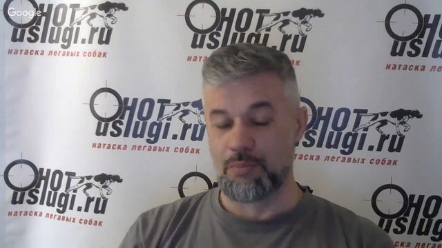 Среда натаски - работа на дистанции. смотреть онлайн