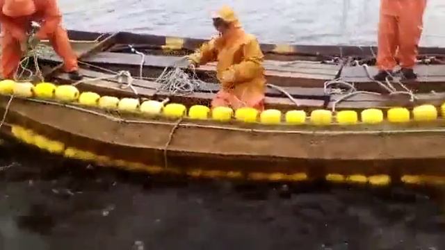 Сахалин путина 2016 д.романовка смотреть онлайн