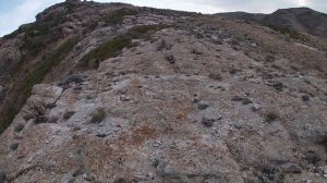 Горная охота на кеклика/каменную куропатку. Часть первая.