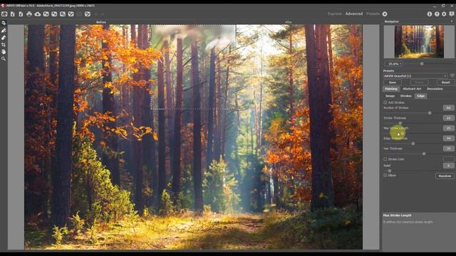 Photo to Oil Painting Conversion with AKVIS OilPaint смотреть онлайн