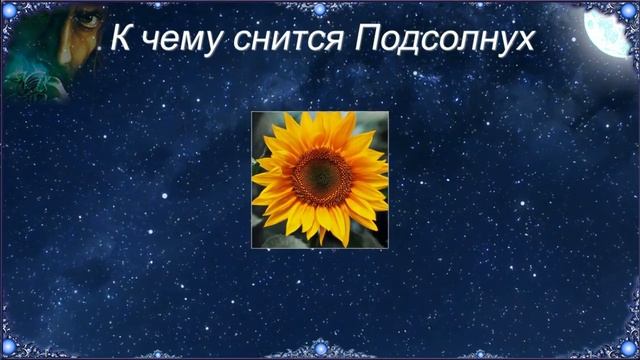 К чему снится Подсолнух (Сонник) смотреть онлайн
