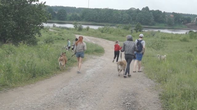 Ролик студентов ПсковГУ смотреть онлайн