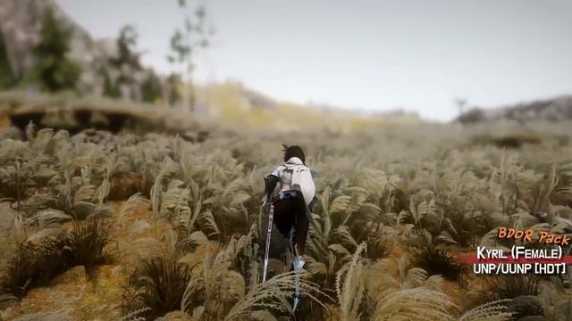 스카이림 모드들 #18 - '초' 고 퀄리티 중/경 갑옷(👚,🛡️) 모음