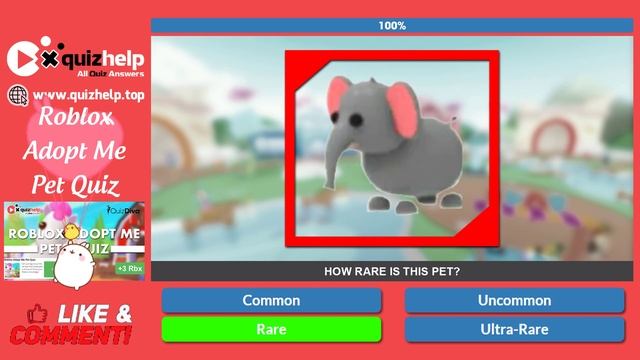 Roblox Adopt Me Pet Quiz Answers 100% | Earn +3 Rbx | Quiz Diva смотреть онлайн