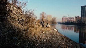 ЧТО ПРОИСХОДИТ С АБАКАНСКОЙ ПРОТОКОЙ НА ЮЖНОМ БЕРЕГУ?