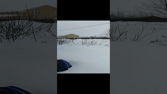 VID_20230310_124917.mp4