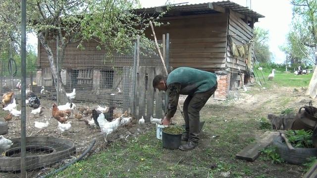 САМОДЕЛКА - Супер, для домашнего хозяйства! смотреть онлайн