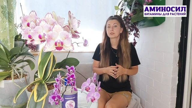 Почему орхидея не цветет? - ответ от Ирины Давтян для канала Мир орхидей с Аминосил смотреть онлайн