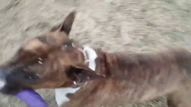 16 января 2023 г. смотреть онлайн