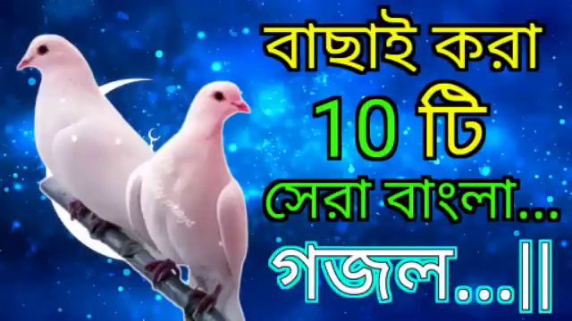 বাছাইকরা ১০ টি সেরা বাংলা গজল || ইসলামিক গজল|| শান্তির বাণী|| @Earning_Wallah #gojol смотреть онлайн