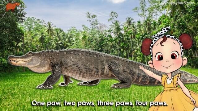 01.05. Crocodile - My HappyBara English Beginner Course