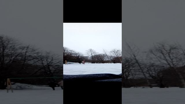 первое видео ??? я готов разорвать эту платформу?