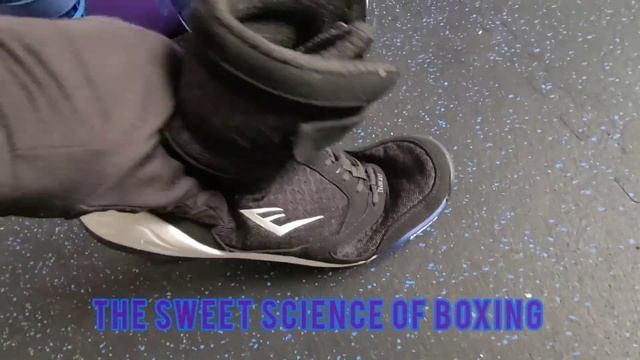 Everlast Elite High Top Boxing Shoe -  Quick Review | #Everlast #Elite #Boxing #Review #Hightop