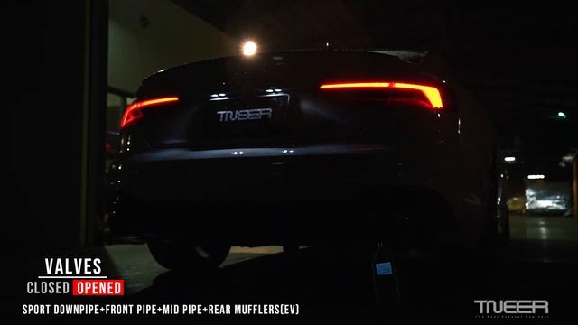 TNEER Audi RS5 (B9) w/Full Exhaust (200 Cell) смотреть онлайн