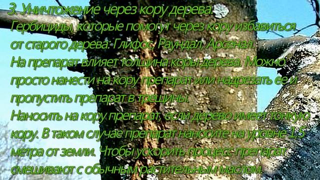 Ремонтные Консультации