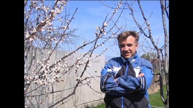 Анатолій Горчинський. Росте черешня в мами на городі... Слова Микола Луків смотреть онлайн