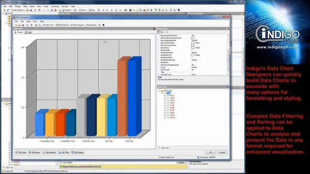 Indigo DRS Data Reporting Tools by Indigo DQM смотреть онлайн