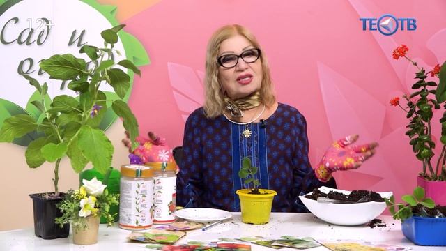 Время рассады / ТЕО ТВ 12+ смотреть онлайн