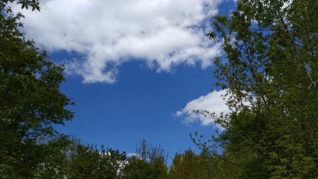 Я есмь! смотреть онлайн