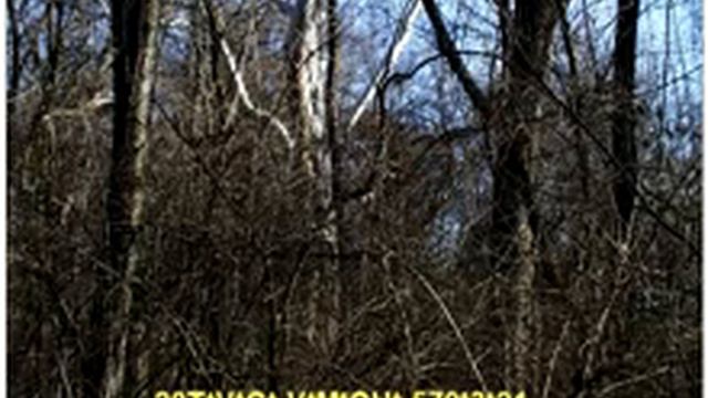 TOLKACHEV V12 Troyka смотреть онлайн