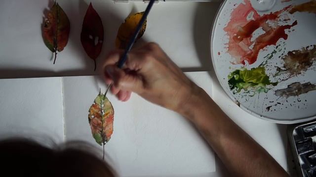 Реалистичные осенние листья акварелью смотреть онлайн